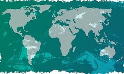 Flagge Welt
