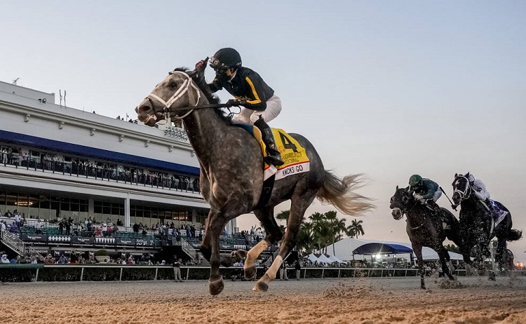 <em> <strong>Oben abgebildet:</strong>  Zieleinlauf beim Pegasus World Cup 2021 im Gulfstream Park, Florida.</em>